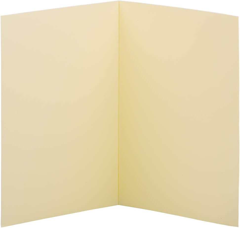 JAM PAPER Strathmore Foldover Cards - 80lb Wove - 25/Pack