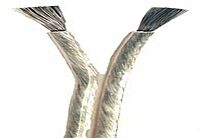 ANCOR Marine Grade Super Flex Premium Tinned Audio 2-Cable Wiring