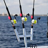 TIGRESS Triple Aluminum Kite Rod Holder - Polished