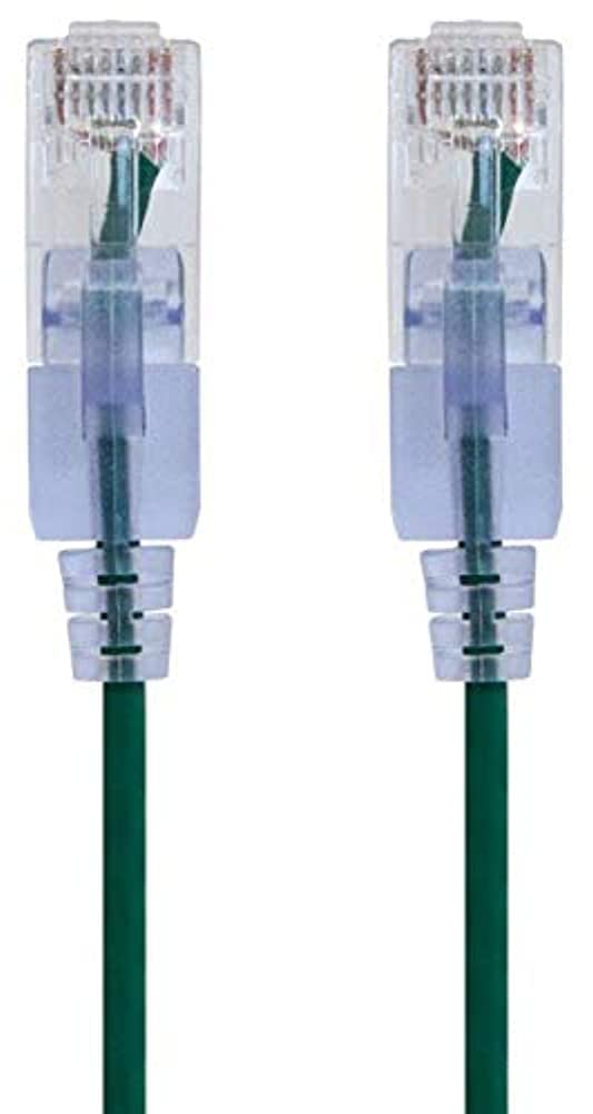 Monoprice SlimRun Cat6A Ethernet Patch Cable - 30AWG UTP Snagless RJ45 10G