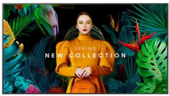 Samsung QBC Series 65" 4K Commercial Monitor