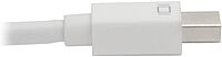 Eaton Tripp Lite Series Keyspan Mini DisplayPort to VGA/DVI/HDMI All-in-One Converter Adapter, Thunderbolt 1/2, 1080p, White mDP to VGA DVI HDMI