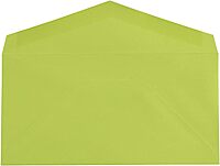 JAM PAPER Colored Envelopes