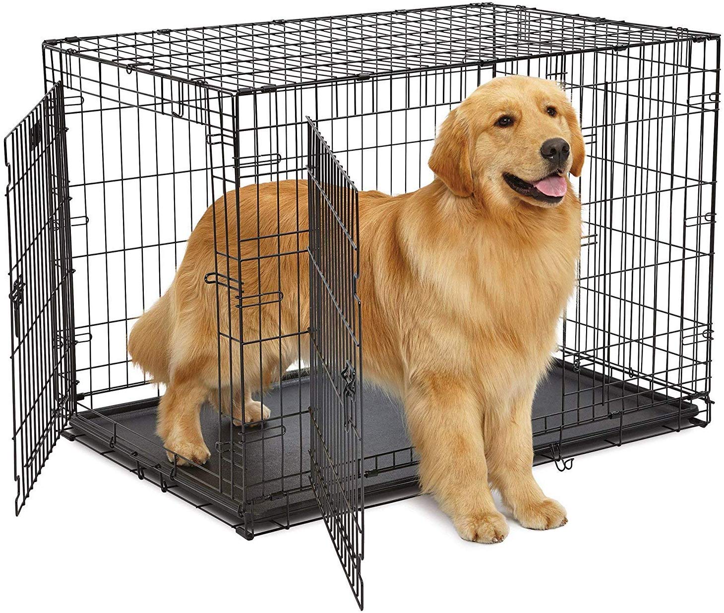 MidWest 42" LifeStages Double Door Dog Crate MidWest 42" LifeStages Double Door Dog Crate