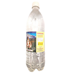Pure Gangajal for Pooja/Homa/Hawan 100ml Bottle