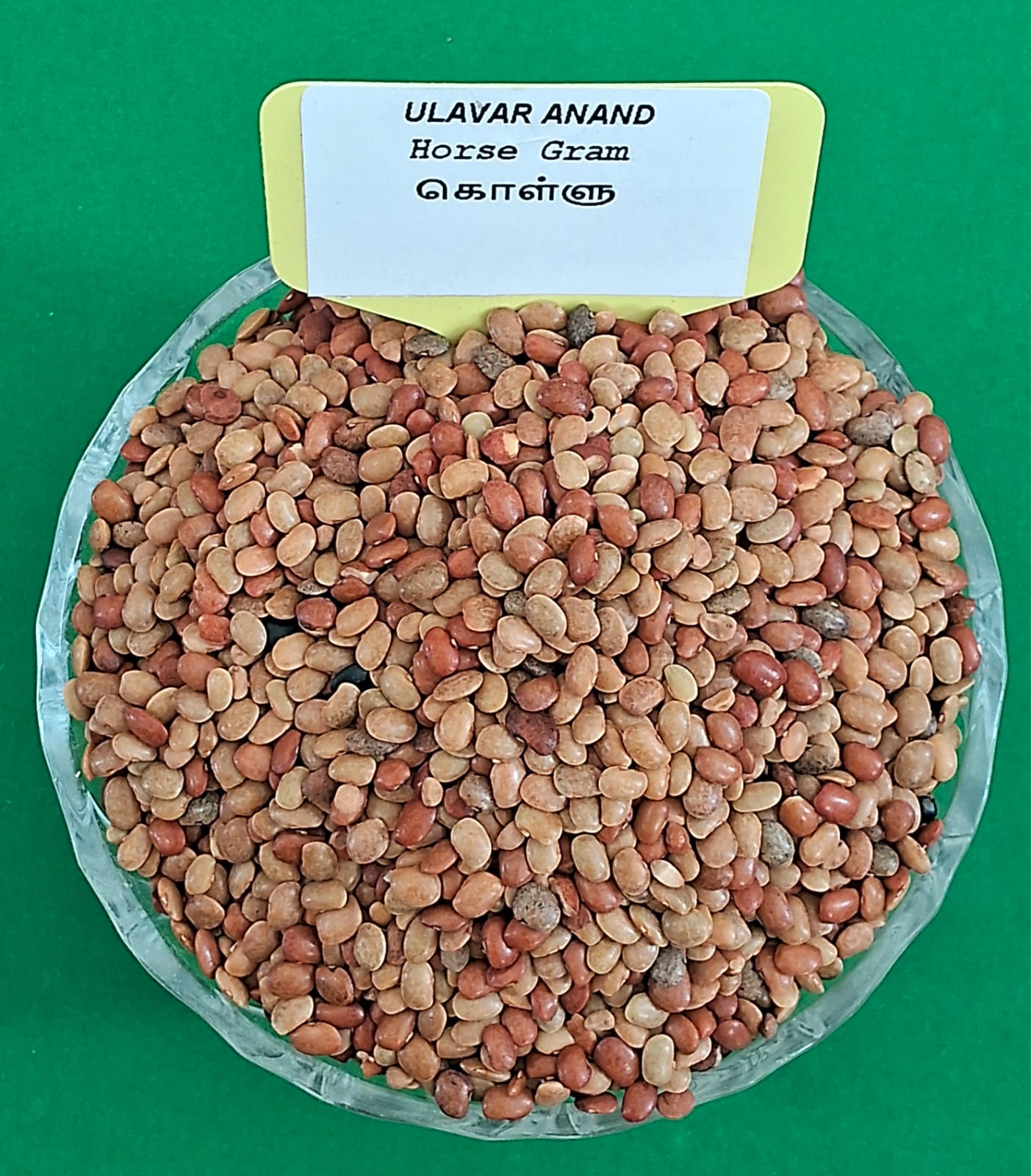 HORSE GRAM 200G KOLLU (கொள்ளு பருப்பு |200G)