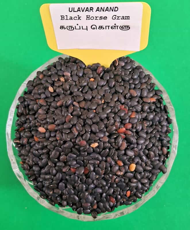BLACK HORSE GRAM 200G KOLLU ( கருப்பு கொள்ளு பருப்பு |200G)