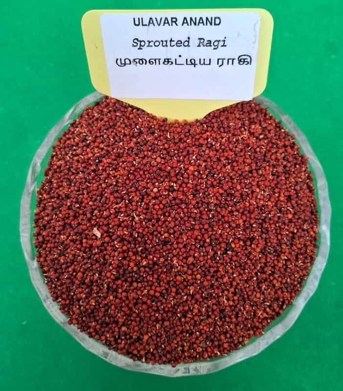 Sprouted Ragi 1 KG ( முளைகட்டிய  ராகி  1 KG )