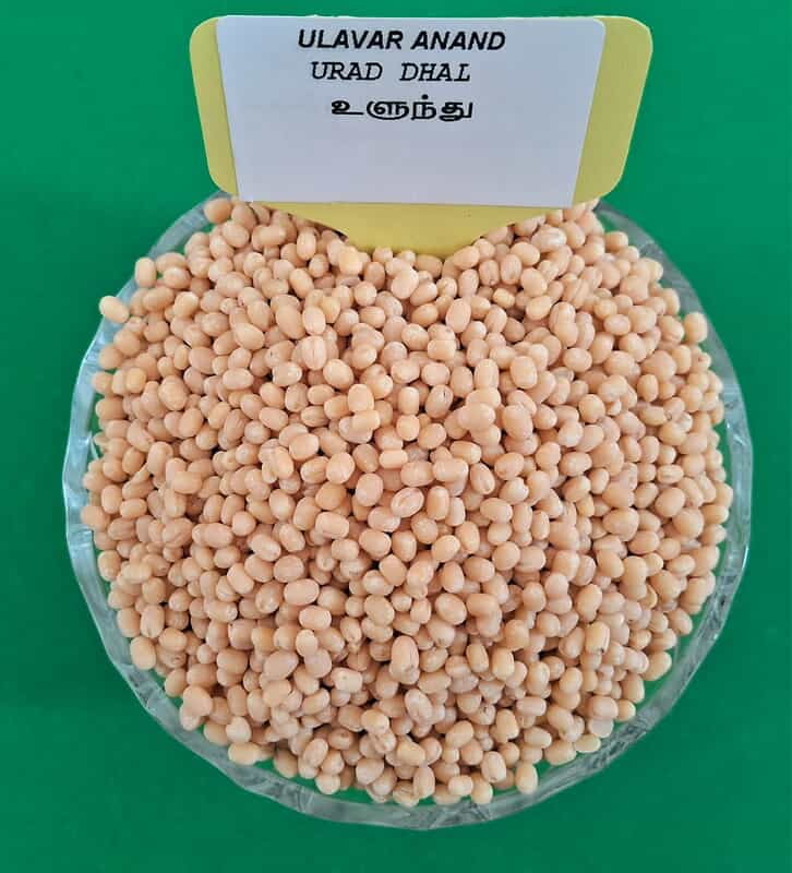 URAD DHAL 500 G உளுந்து