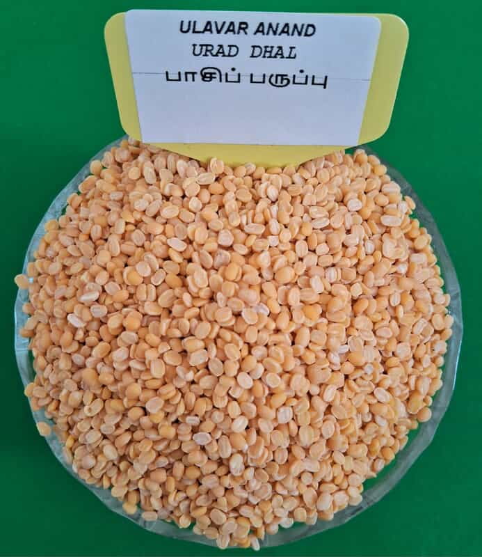 பாசிப் பருப்பு 1KG | Yellow Moong Dhal 1kg
