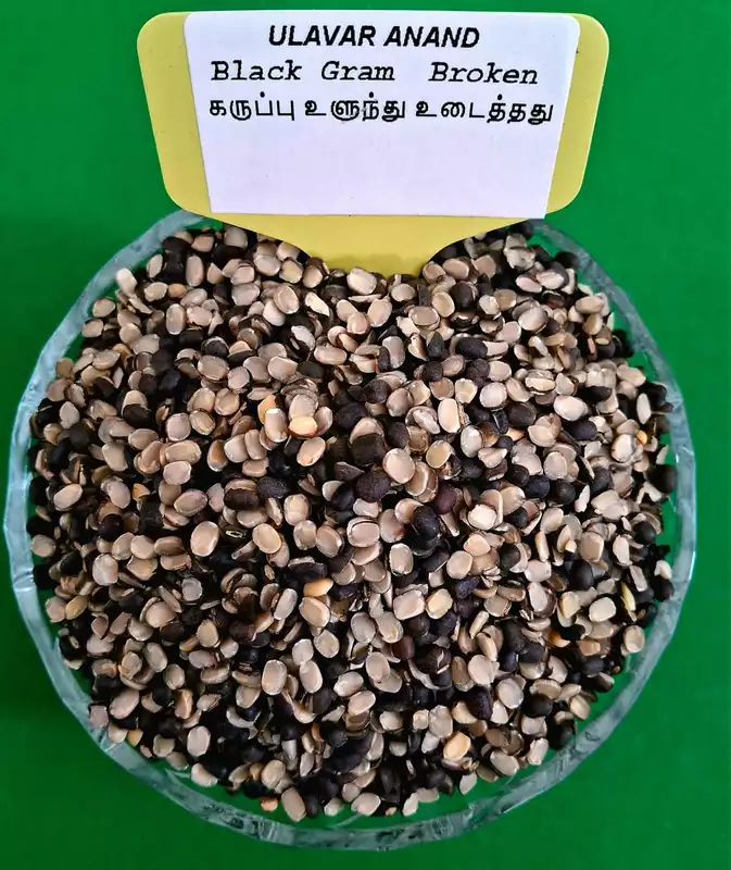 Black Gram Broken | கருப்பு உளுந்து உடைத்தது 1kg