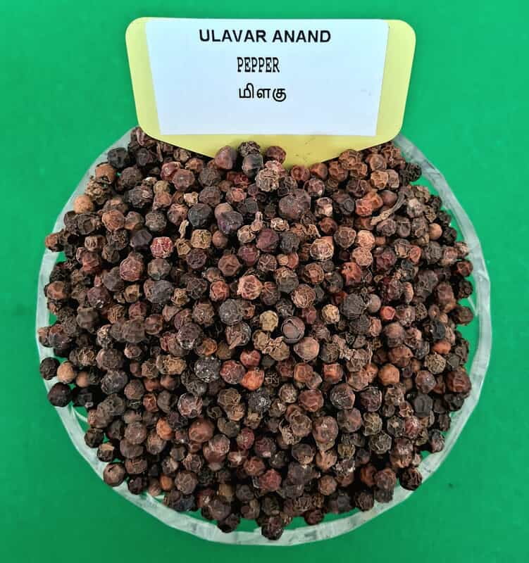 BLACK PEPPER 250G (மிளகு | 250G)