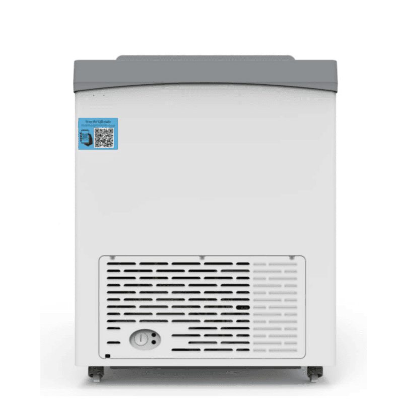 Worker Arranging Frozen Products Inside Blue Star 350 Litre Deep Freezer