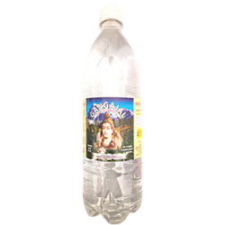 Pure Gangajal for Pooja/Homa/Hawan 100ml Bottle