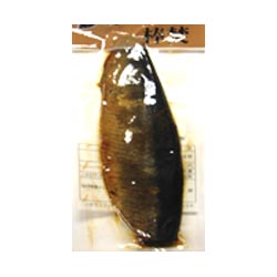 MATSUMOTO NISHIN M