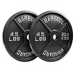 45 lb plates (pair)