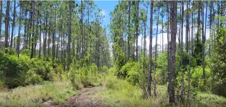 104 NW 1st Ave Palatka