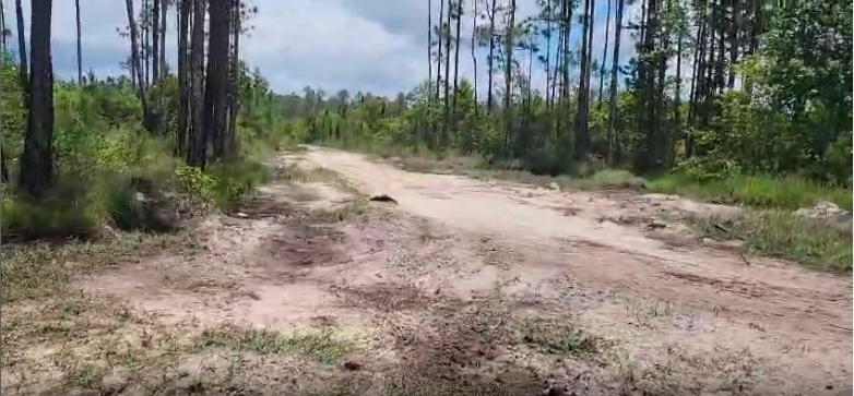 104 NW 1st Ave Palatka