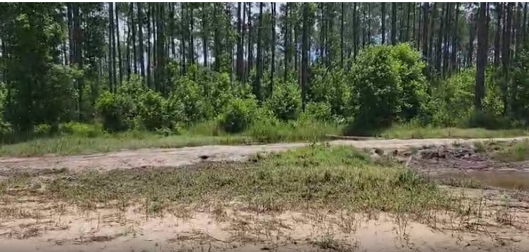 104 NW 1st Ave Palatka