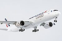 Air France Cargo A350F