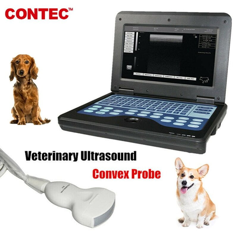 us portátil veterinario B-escáner de ultrasonido animales pequeños sonda convexa de 3,5 mhz + bolsa us portátil veterinario B-escáner de ultrasonido animales pequeños sonda convexa de 3,5 mhz + bolsa