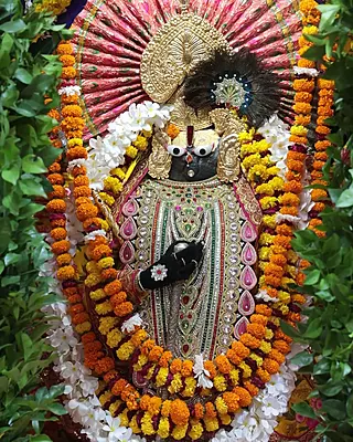 Govardhan Giriraj Ji - Phool Bangla