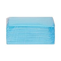 McKesson Procedure Underpad 17 W x 24 L Inch Blue NonSterile (MPN 16-16650)
