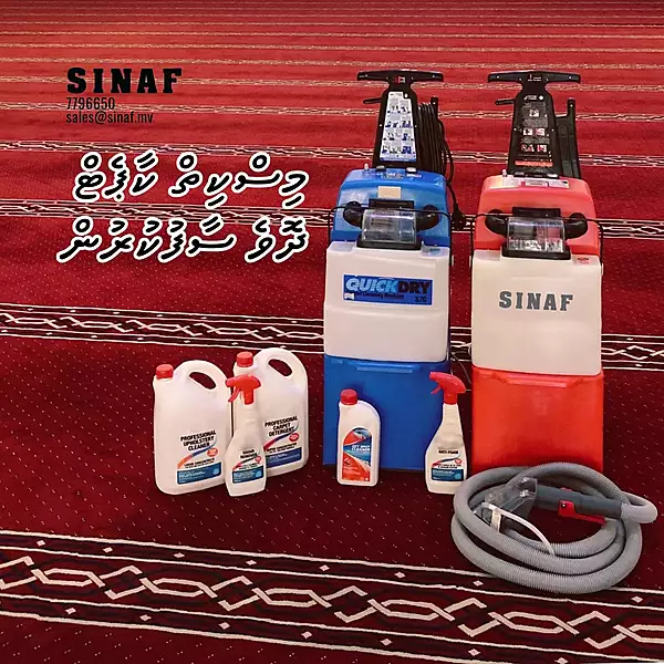 Professional Carpet Cleaning Service