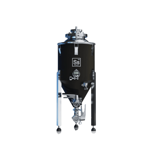 Ss Brewtech Chronical 2.0