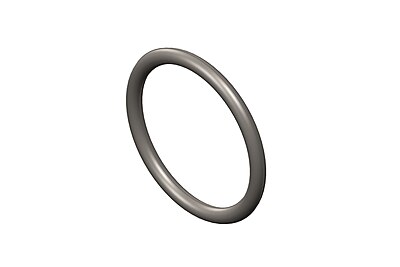 O Ring Seal