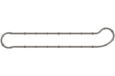 Oil Seal