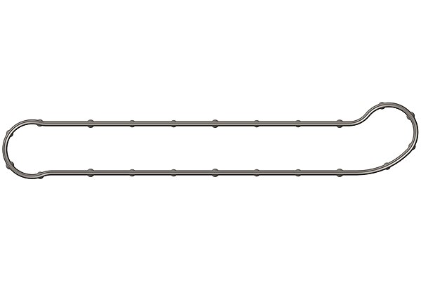 Oil Seal