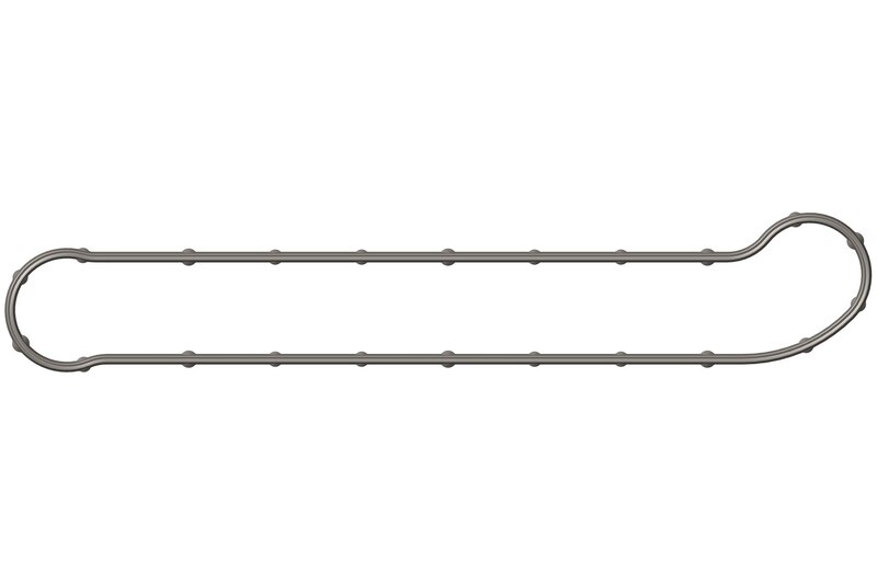 Oil Seal
