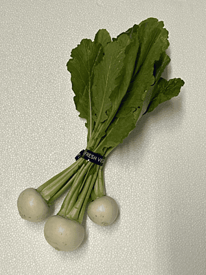 KABU 24 (JP TURNIP) USA