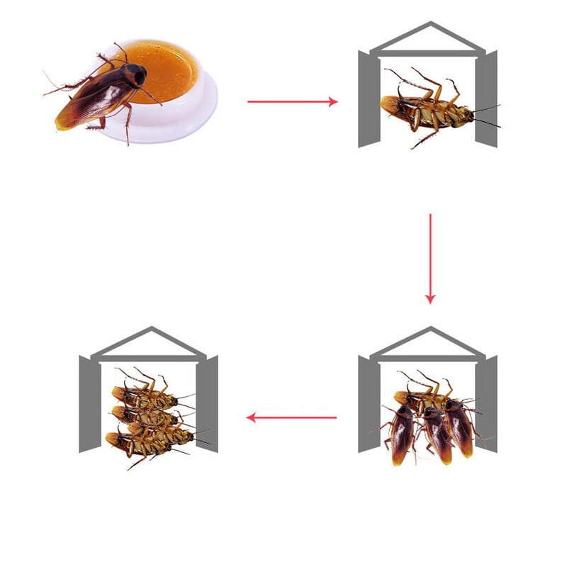 COCKROACH BAIT COCKROACH KILLER