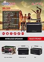 Oudiobop BK-500 Portable Wireless Karaoke Speaker with Dual Microphones