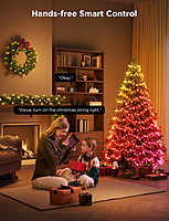 Govee String Lights 2S (updated packaging)- 20M