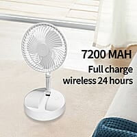 Rechargeable Fan  (ZK)