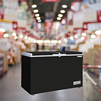 Blue Star CHFK275DGS-Black with its Anti-Bacterial Gasket Highlighted Blue Star CHFK275DGS-Black with its Anti-Bacterial Gasket Highlighted