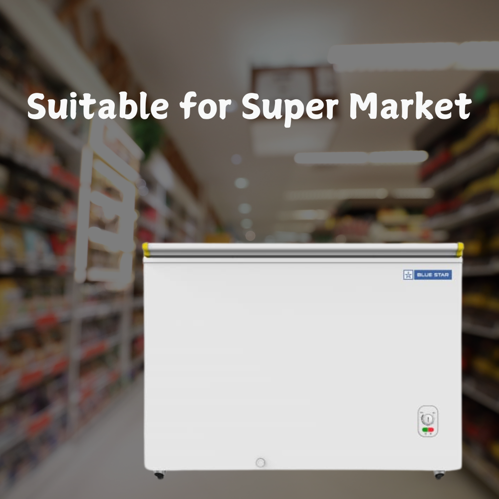 Suitable for Super Market: Blue star Bottle Cooler 300 liter deep freezer-CHBK300MP