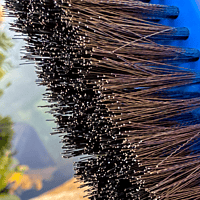 Algae Brush Steel With Aluminium Handle | S16 | 932380 | CPA Canada