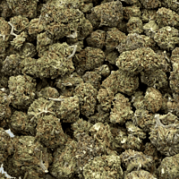 Sour Zkittlez Greenhouse Select