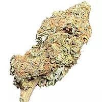 Maui Wowie Greenhouse Standard