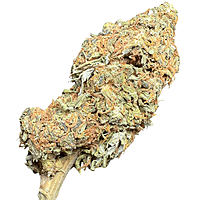Maui Wowie Greenhouse Standard