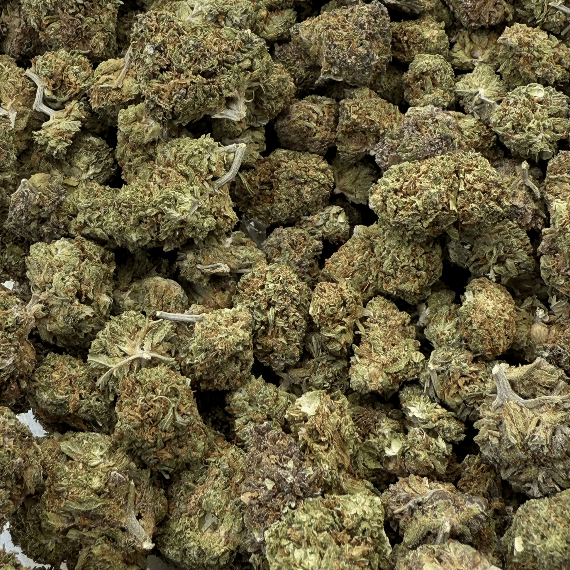 Sour Zkittlez Greenhouse Select