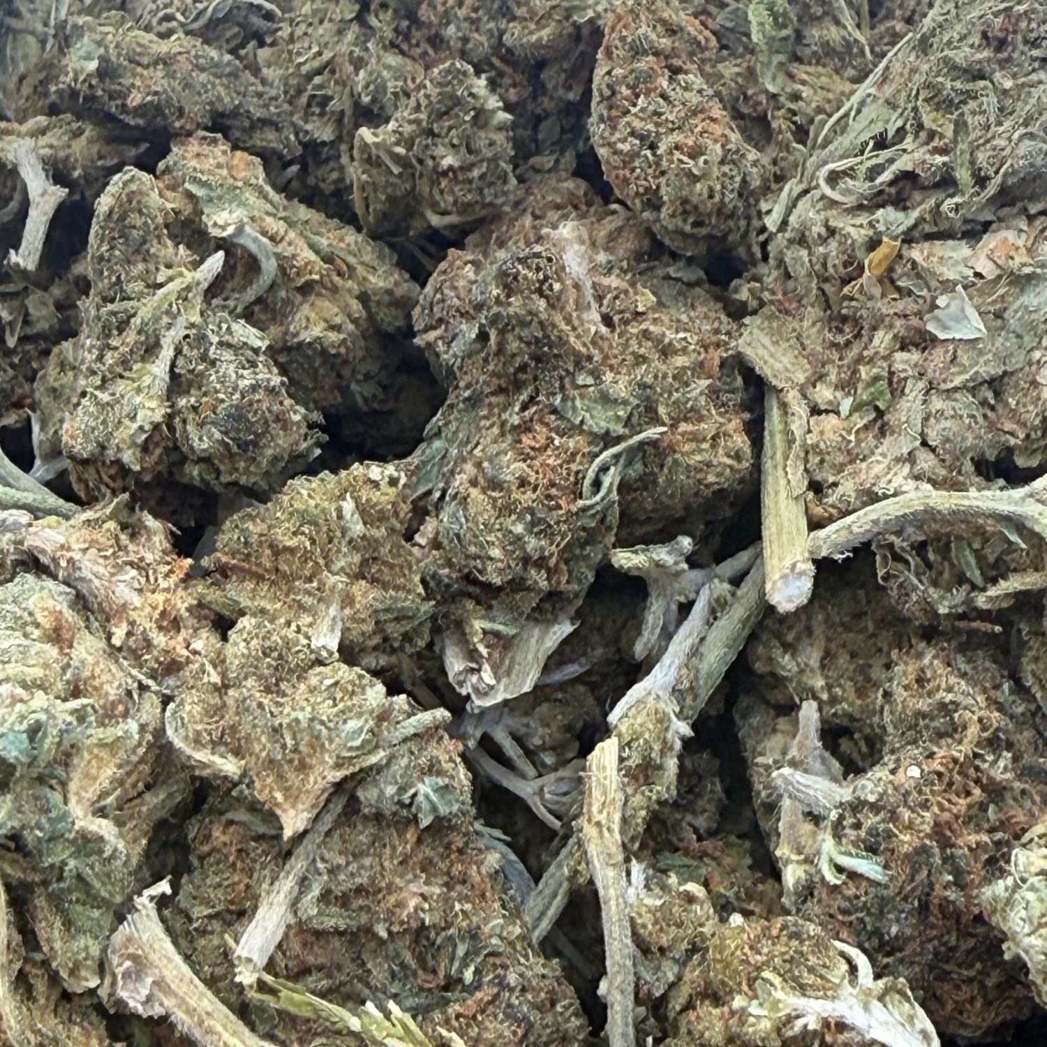 Northern Lights Exterior Regular