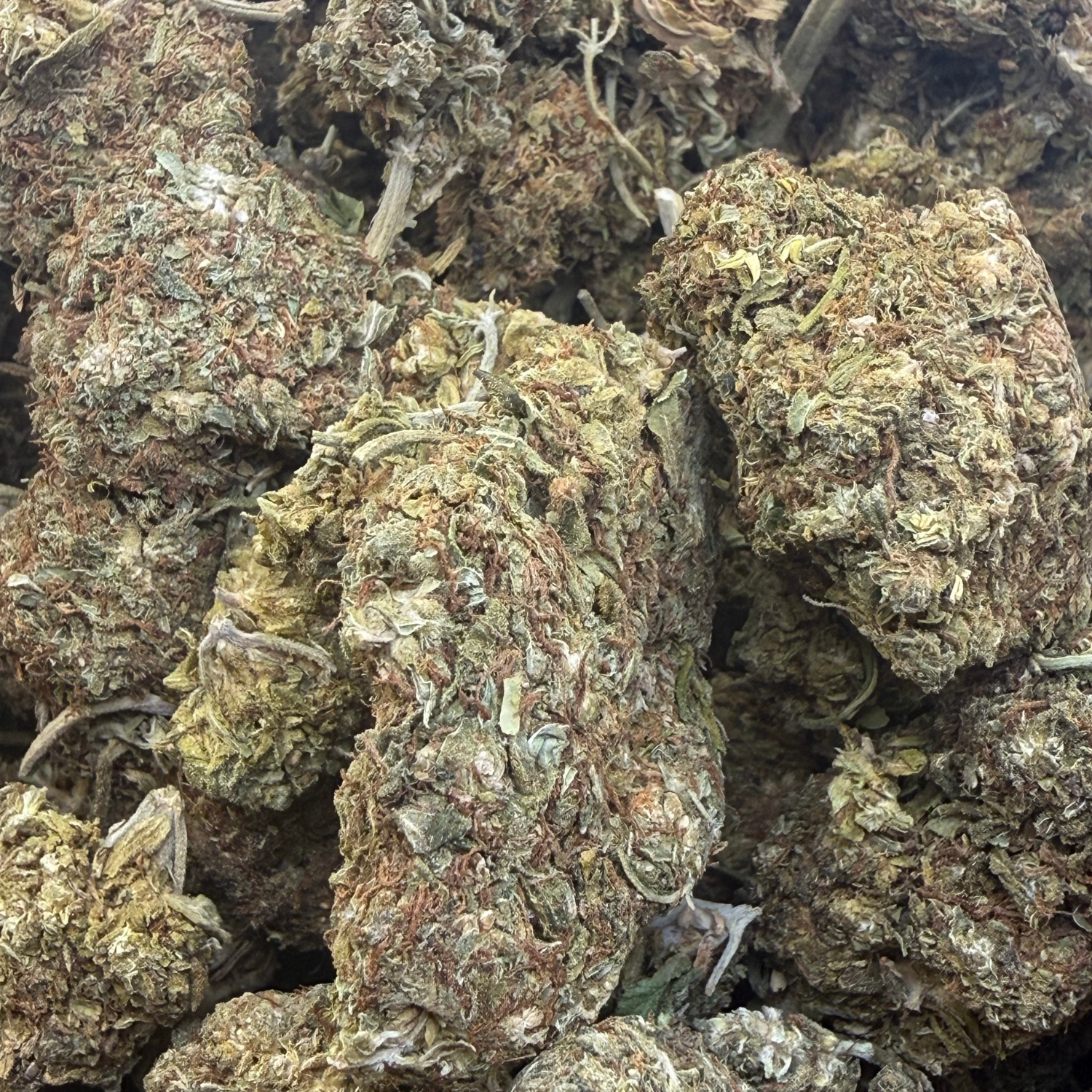 Pineapple Express flor exterior regular