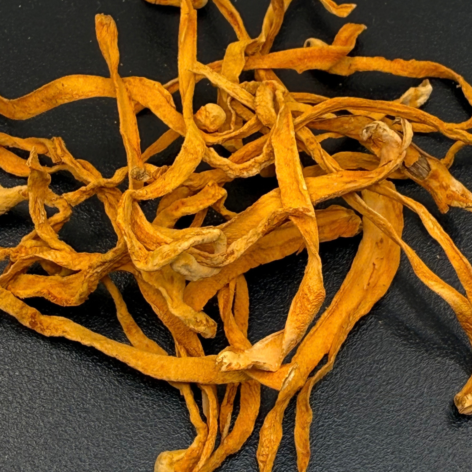Hongo Cordyceps Deshidratado