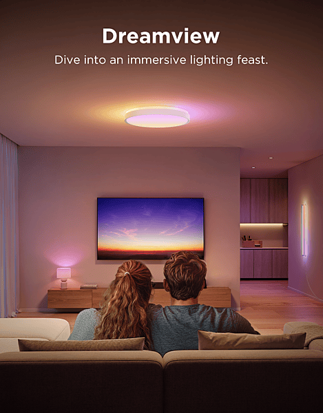 Govee 15inch RGBICWW + RGBICWW Round Smart Ceiling Light