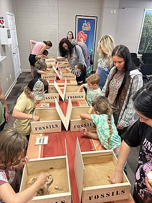 Fossil Box Set Fossil Box Set